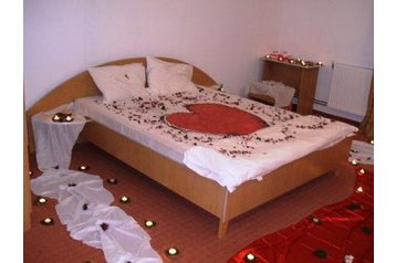 Rumānija Privát Băile Felix, Interjers